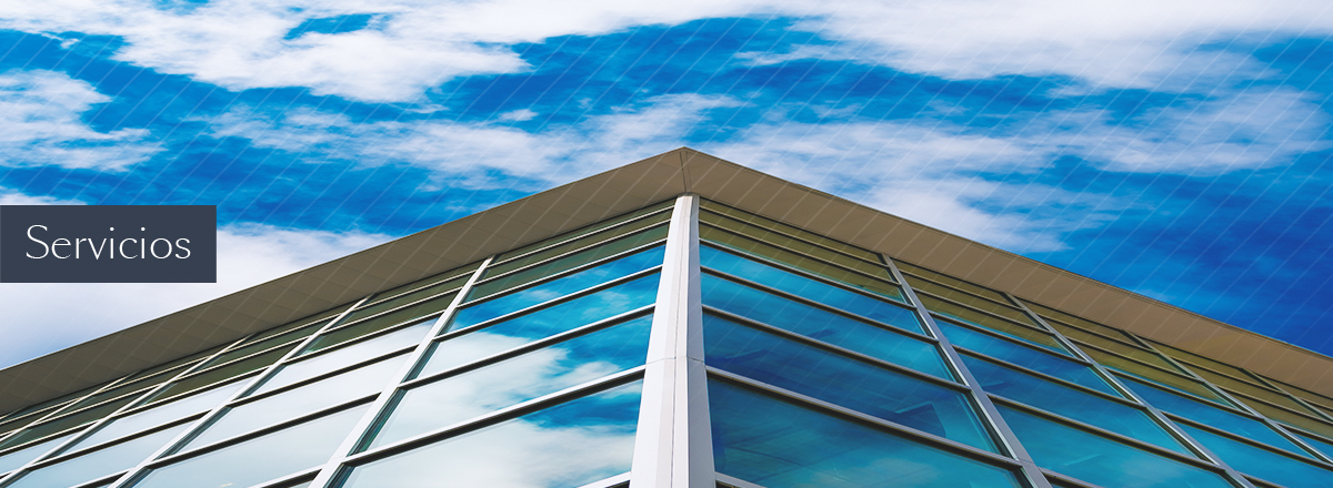Servicios