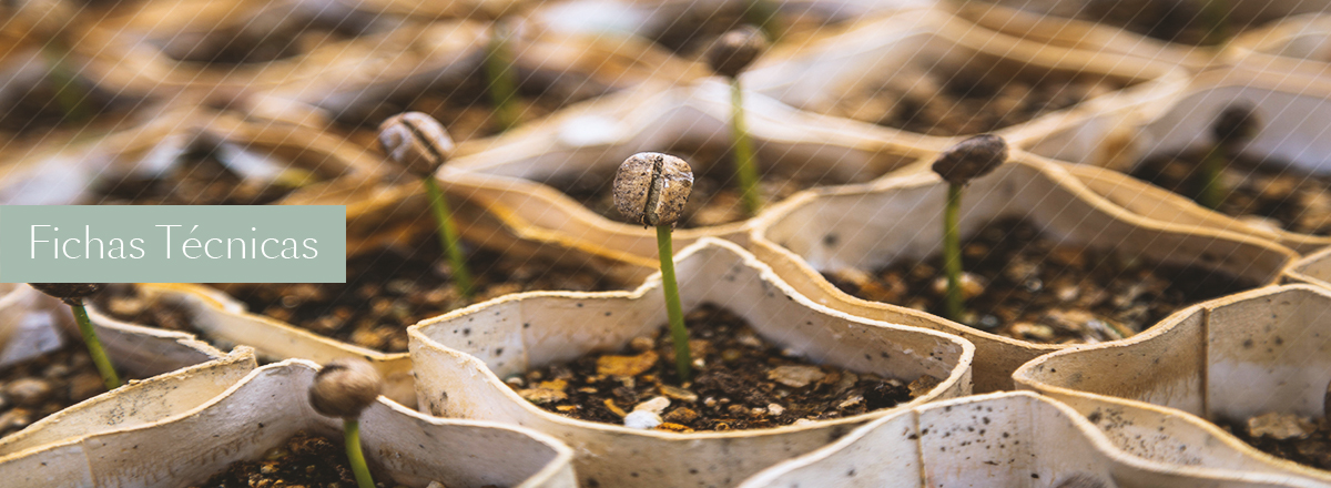 Fichas Técnicas