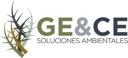 Logo GeyCe